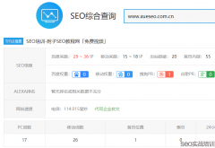 SEO排名提权实战操作，移动端SEO优化必学知识点！